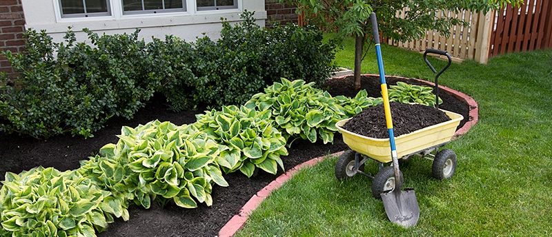 Landscaping Tips & Ideas