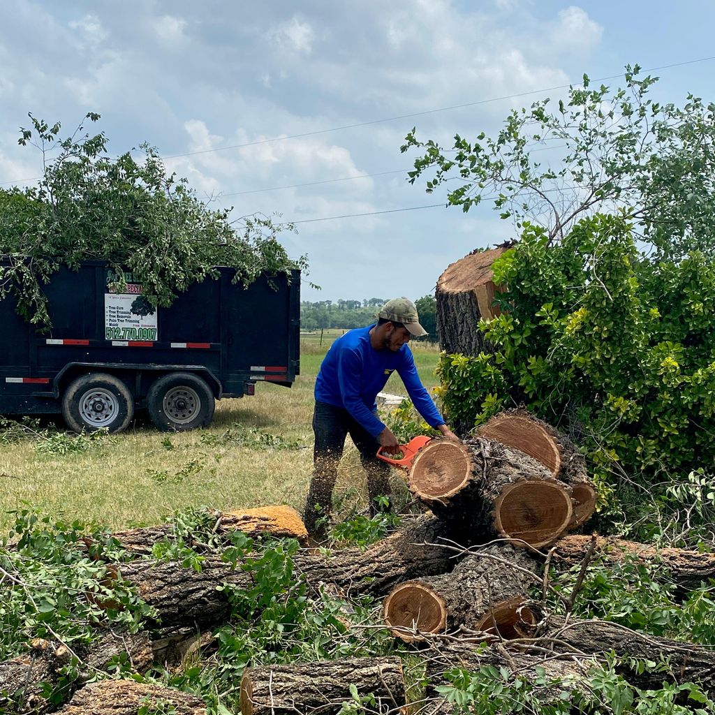 Best Tree Service Austin