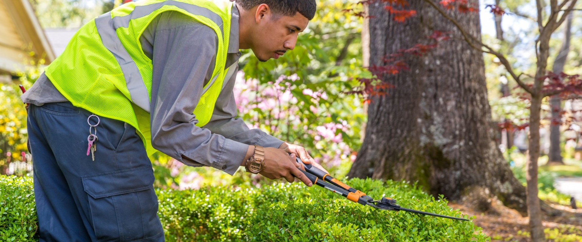 Pruning & Trimming Tips