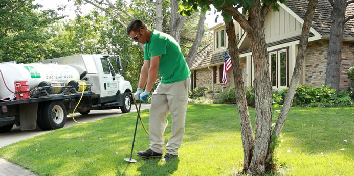 Tree Service in Denver