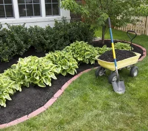 Landscaping Ideas