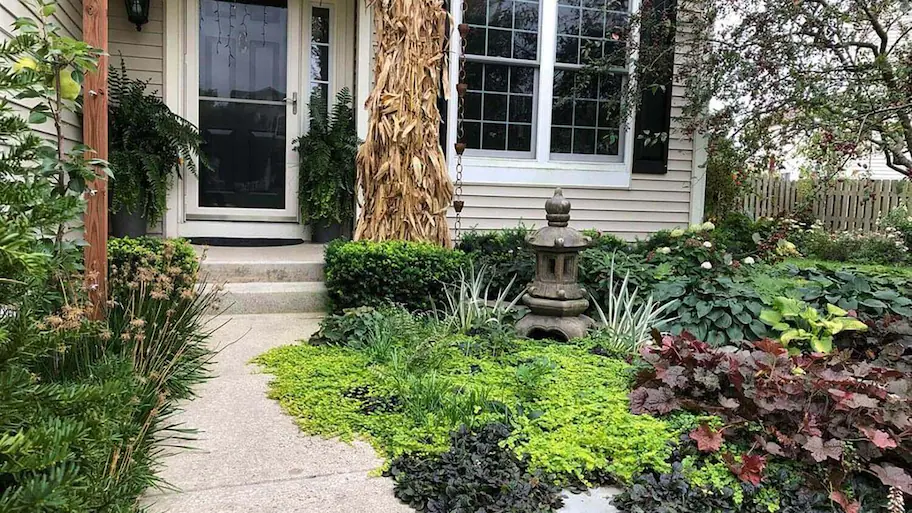 Landscaping Ideas