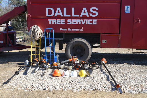 tree service dallas