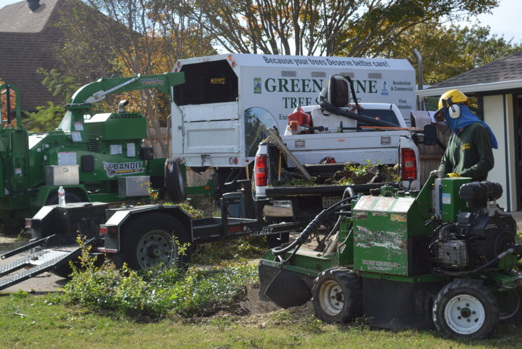 tree service dallas