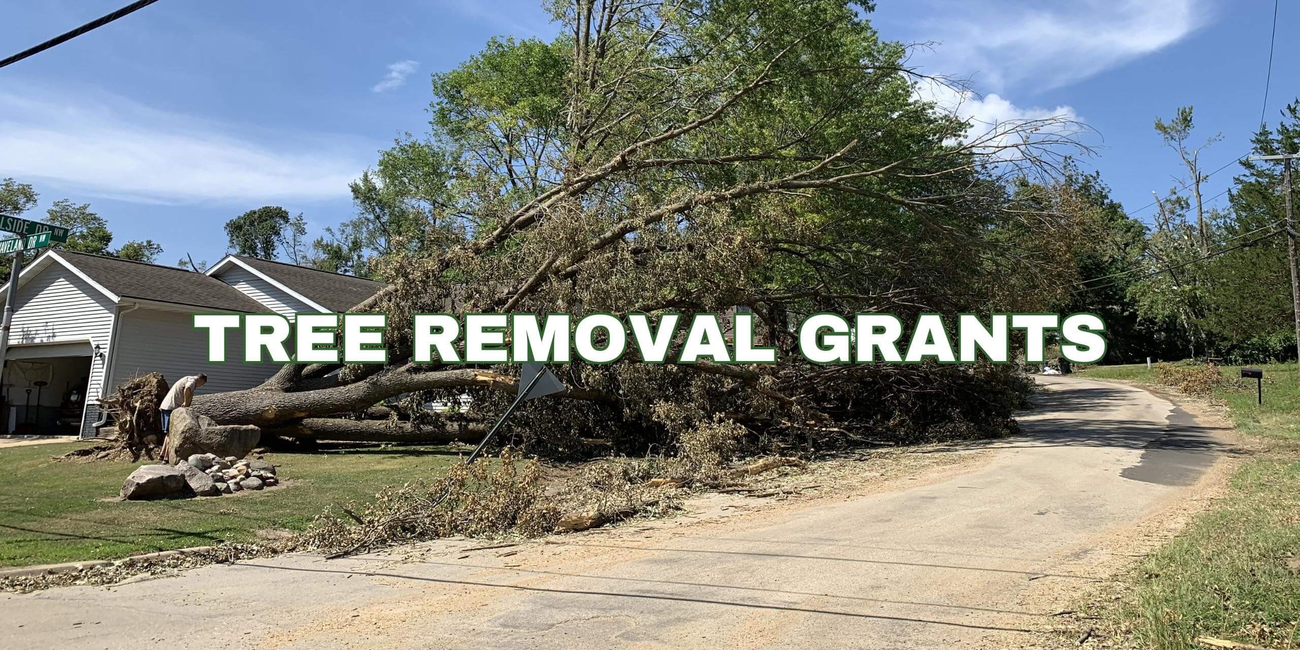 tree removal grants