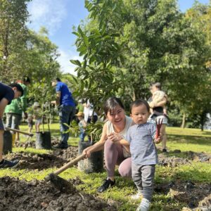 Tree planting business