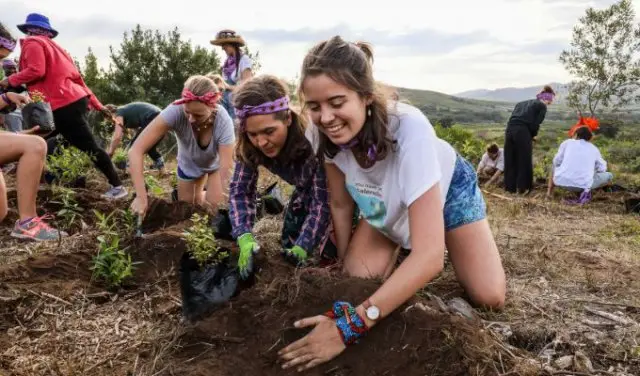 Tree planting festival