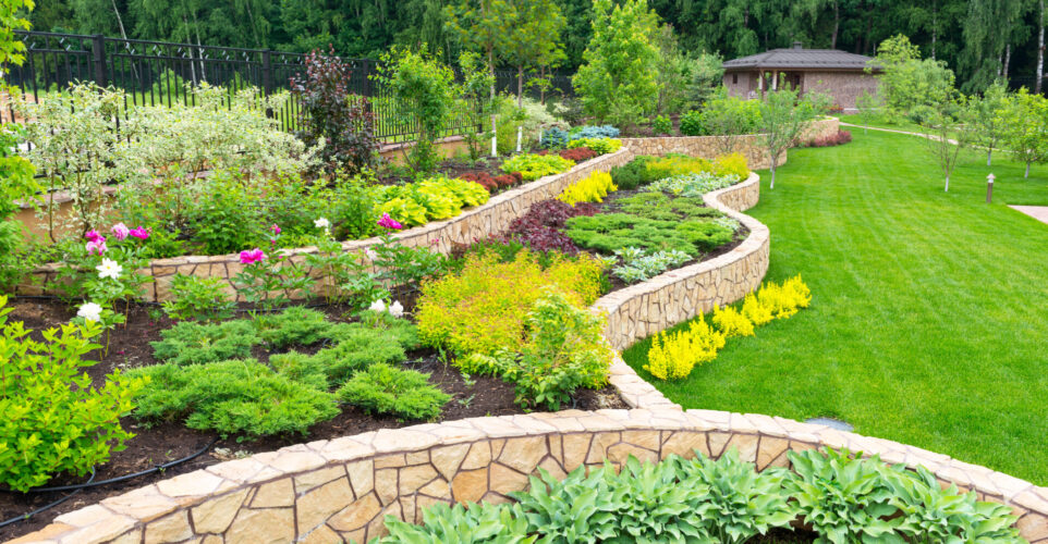 best trees for landscaping