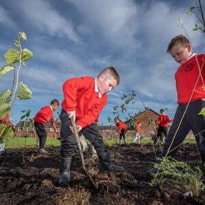 Tree planting benefits