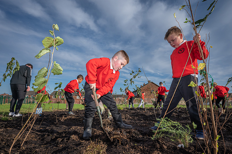 Tree planting benefits