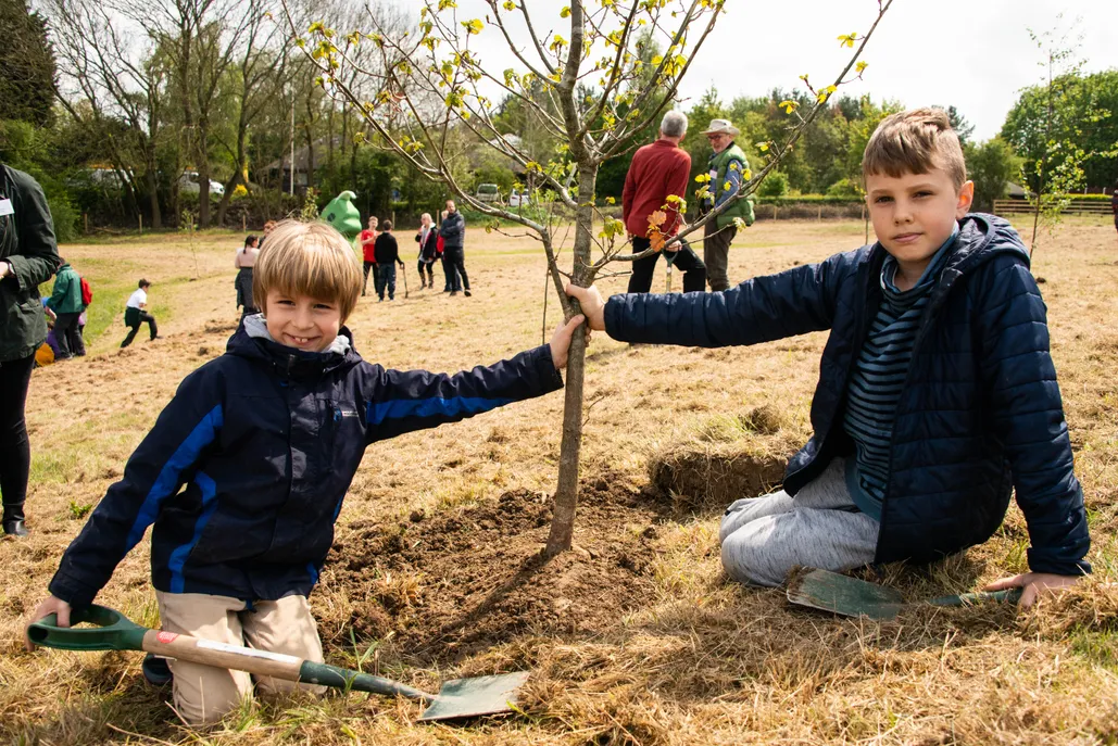 Tree planting benefits