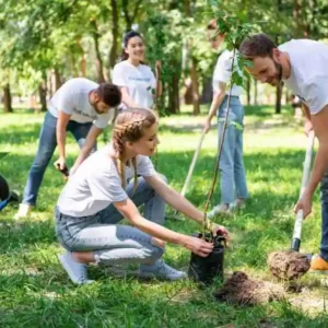 Tree planting advice