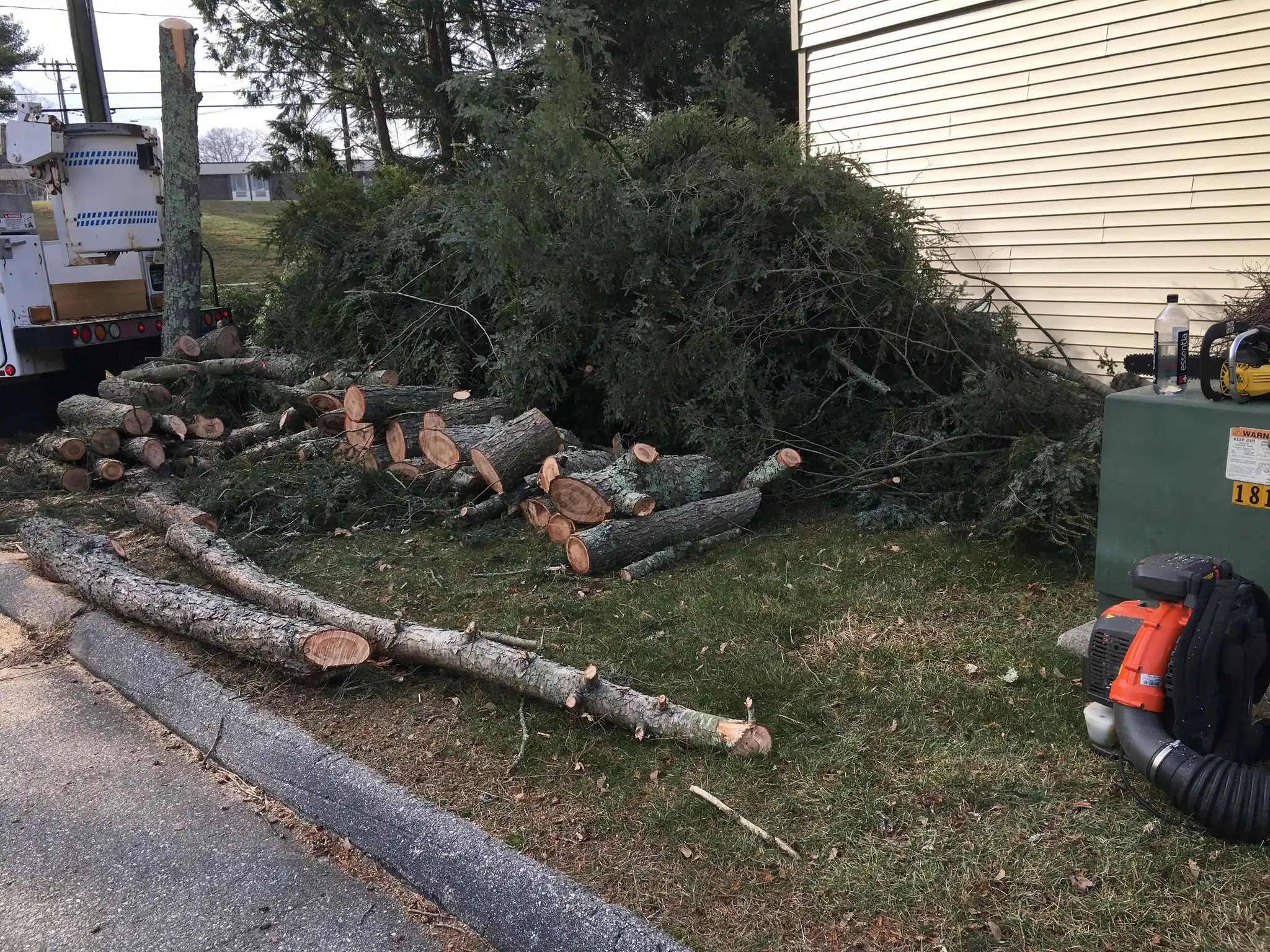 Tree trimming near me