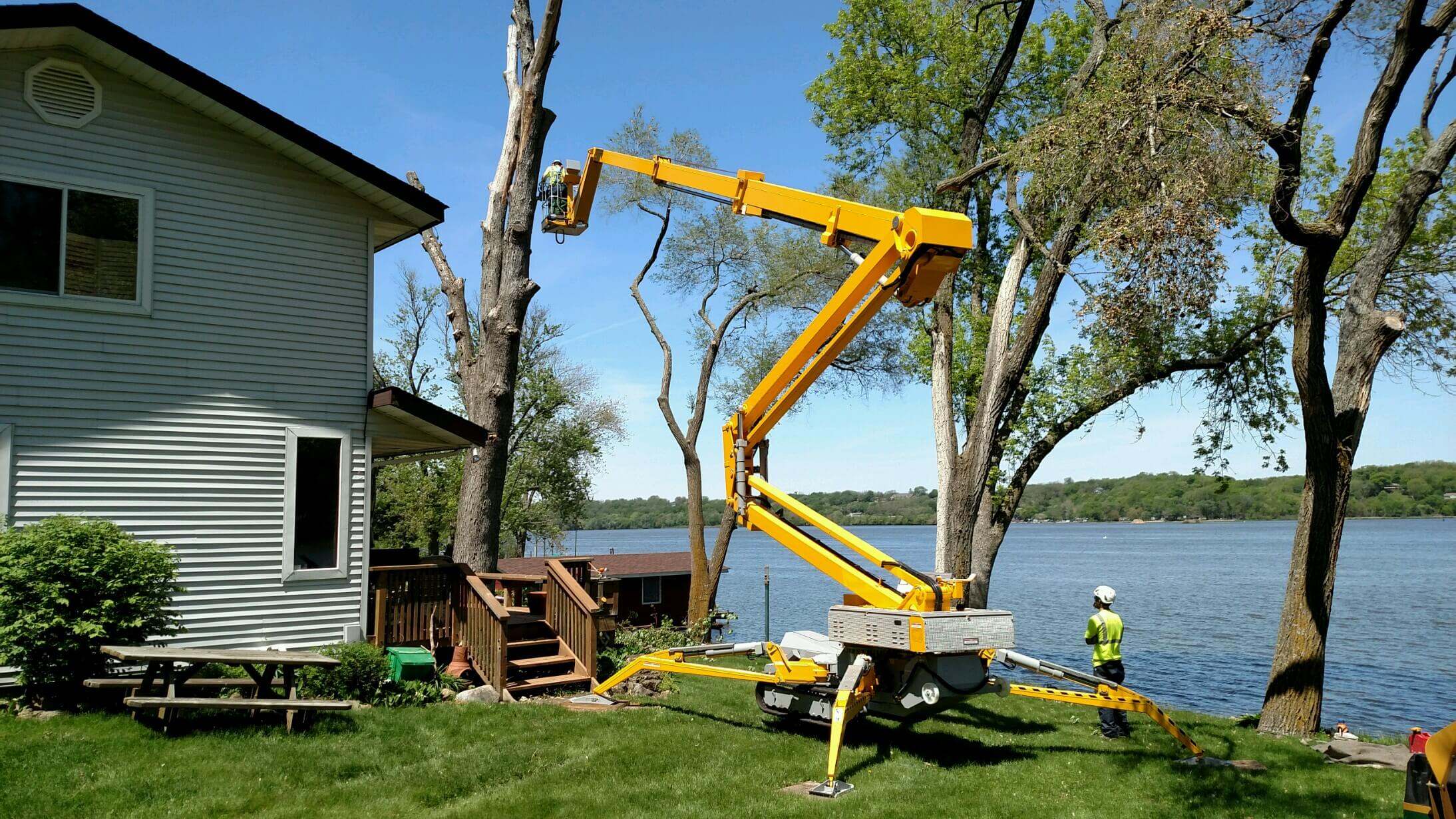 Tree cutting services