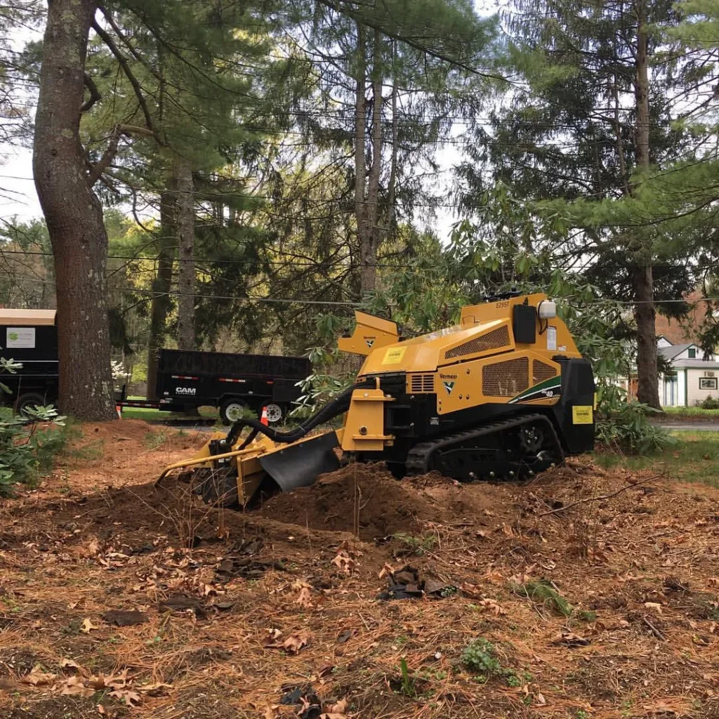 Tree and stump removal packages