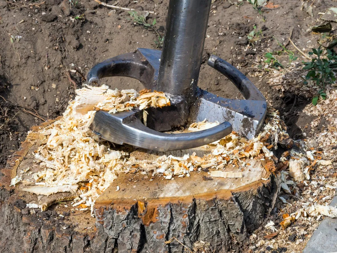 Tree and stump removal packages