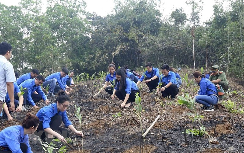 Tree planting festival