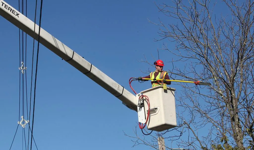 Tree removal near power lines