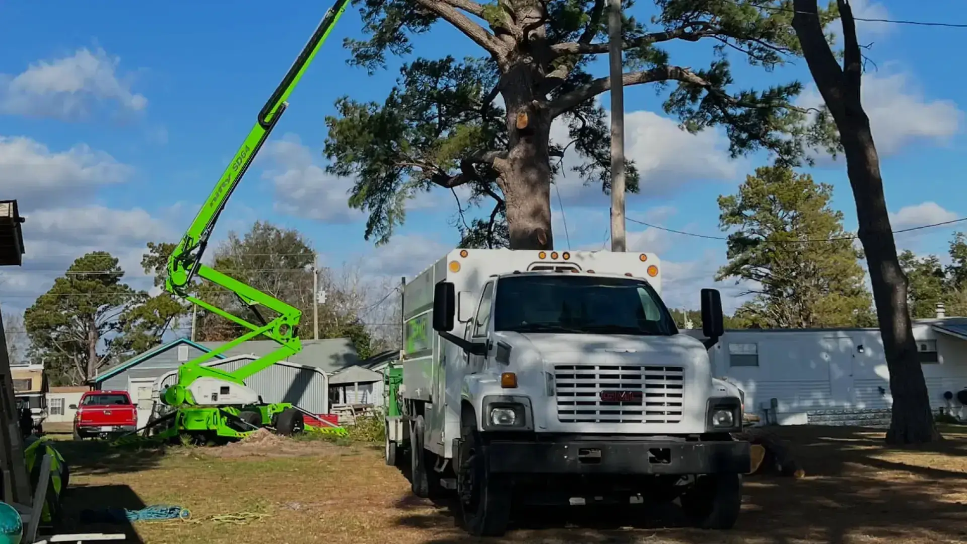 tree removal financing