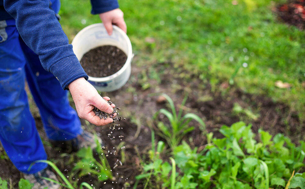 Tree fertilization methods