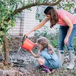 tree care tips