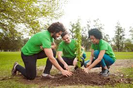 Memorial tree planting