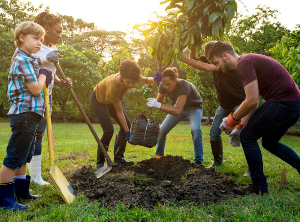 Tree planting benefits