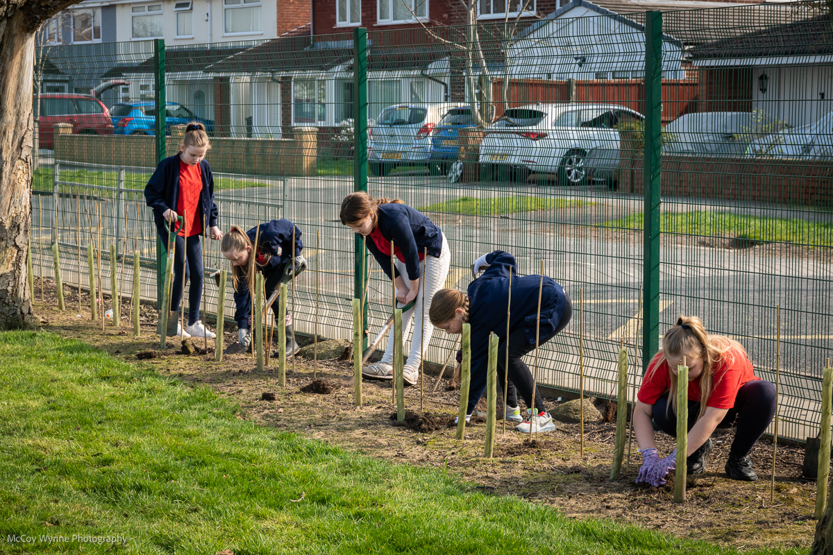 Tree planting benefits