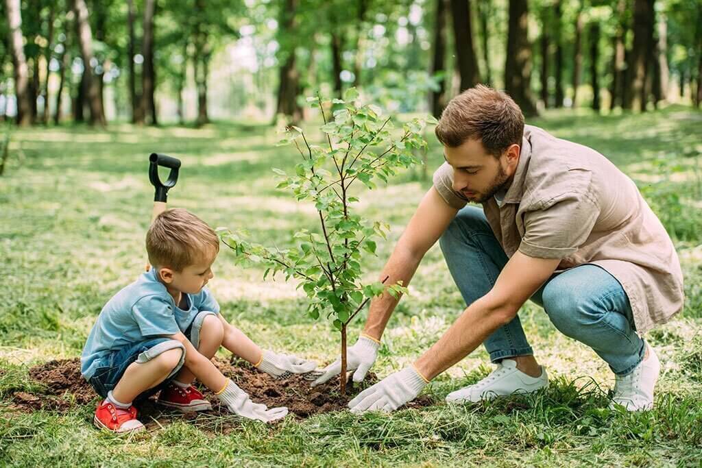 tree care tips