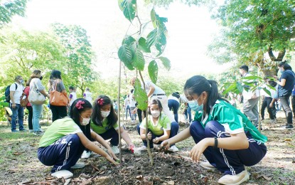 Tree planting activity