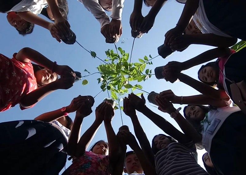 Tree planting activity