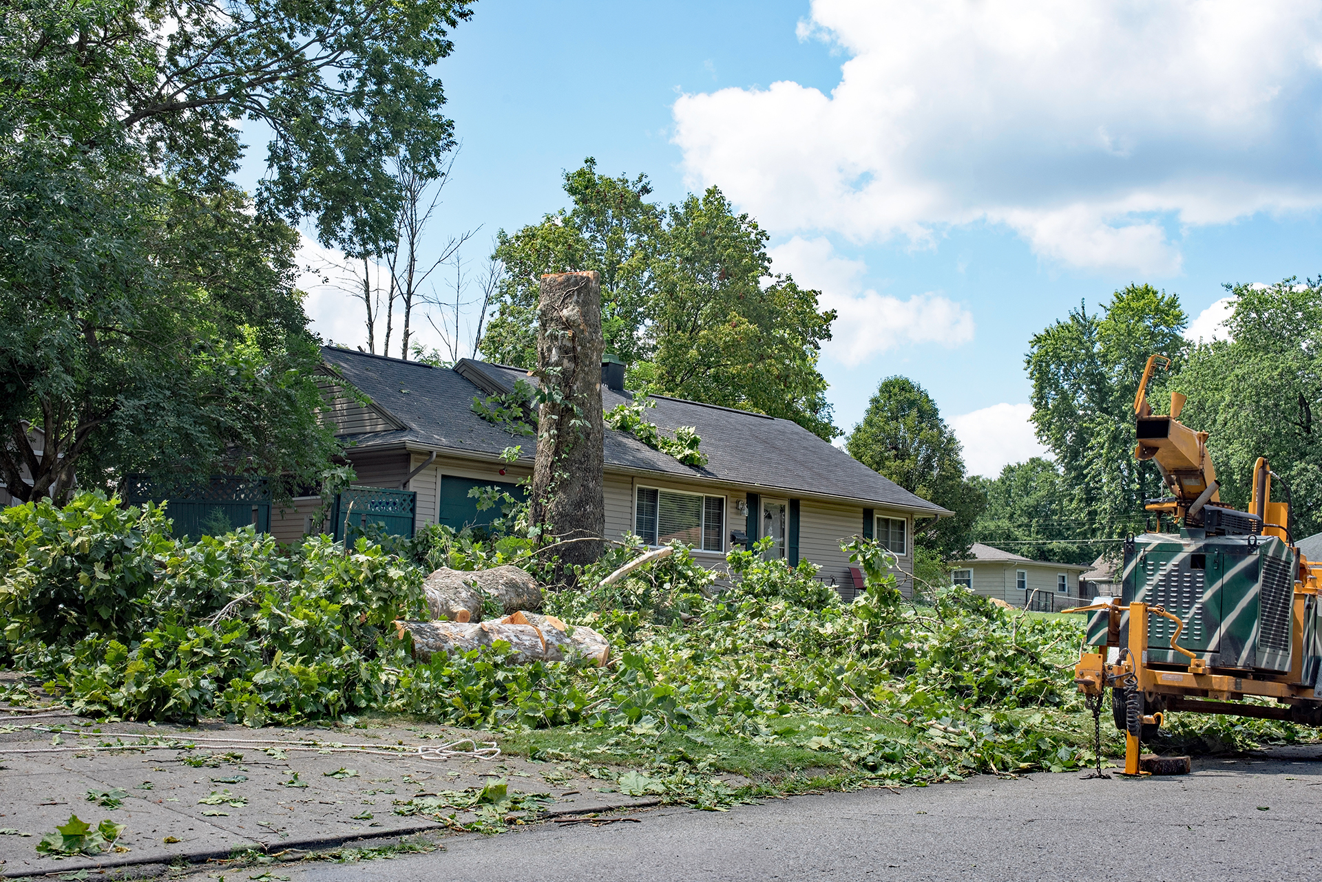 tree removal financing