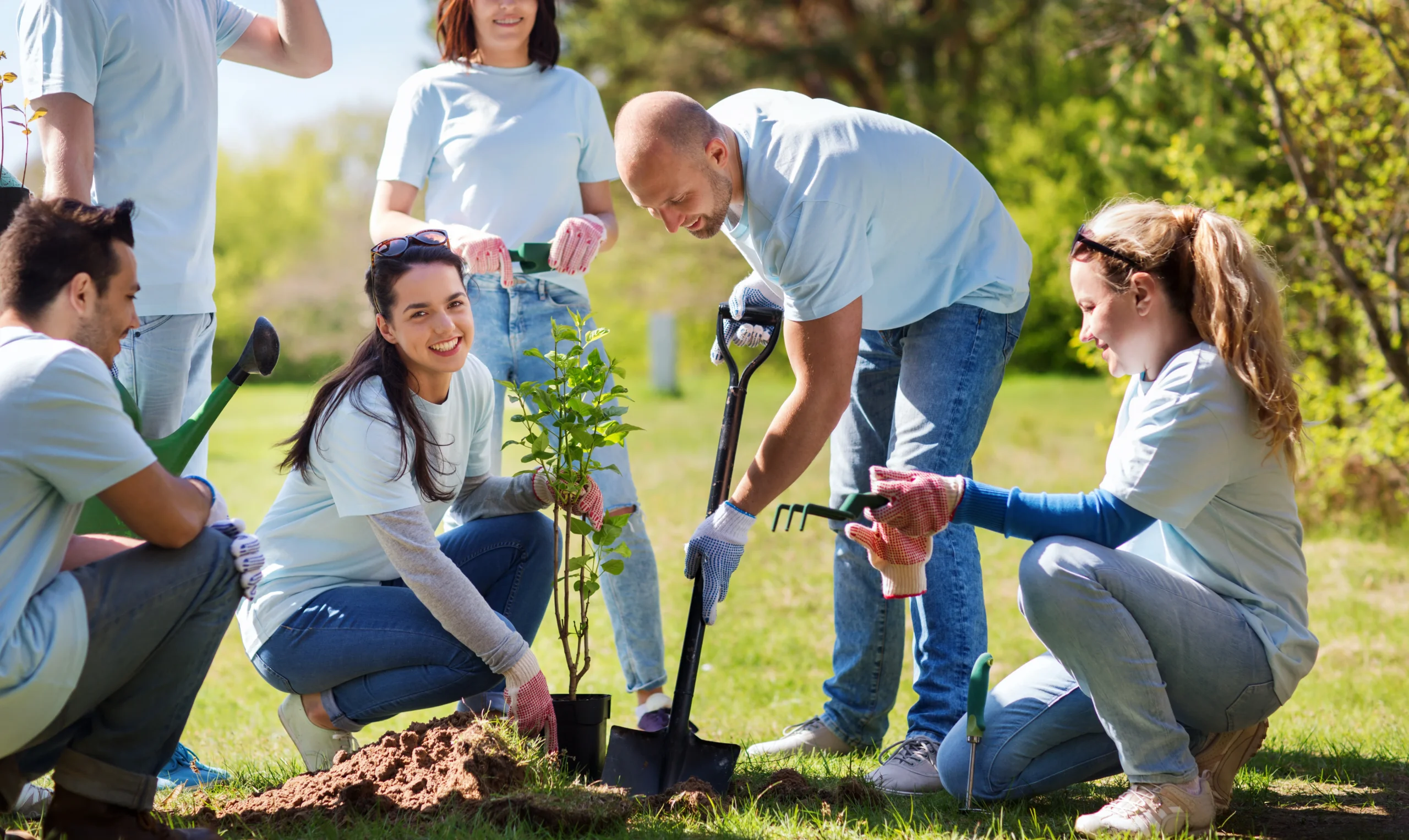 Tree planting business