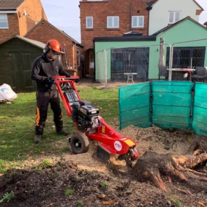 Tree root removal services