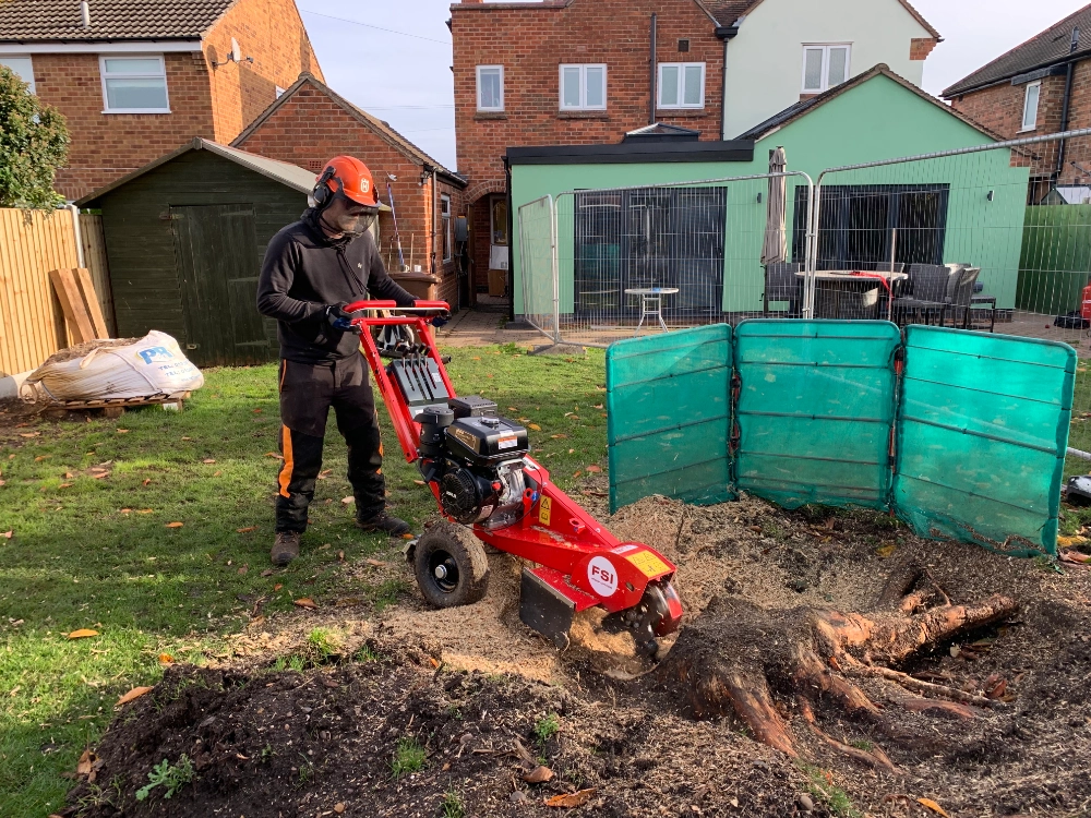 Tree root removal services