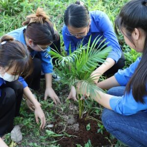 Tree planting festival