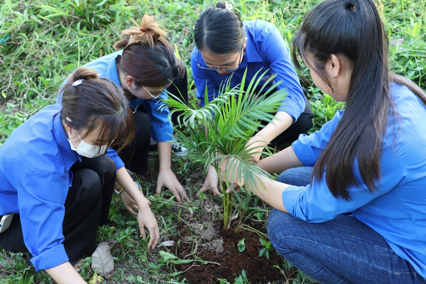 Tree planting festival