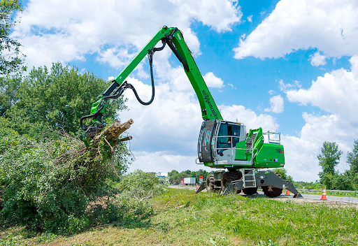 tree removal equipment