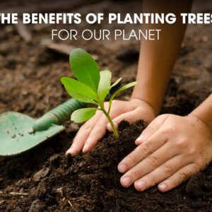 benefits of tree plantation