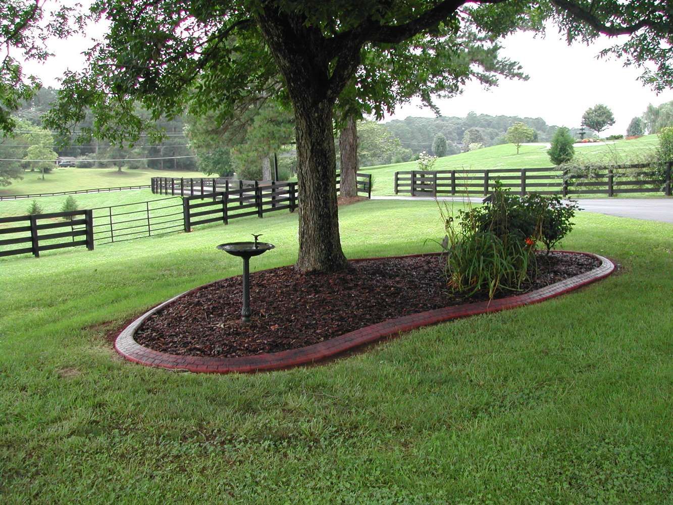 landscaping around trees