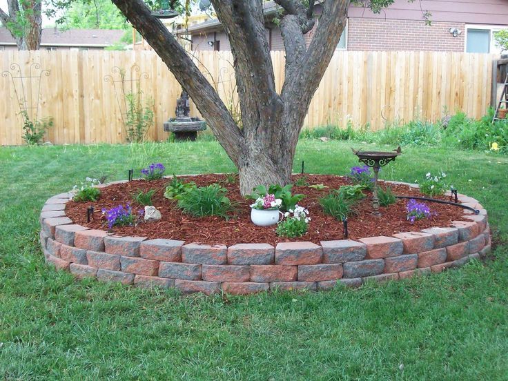 easy tree landscaping