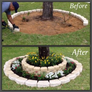 landscaping around trees