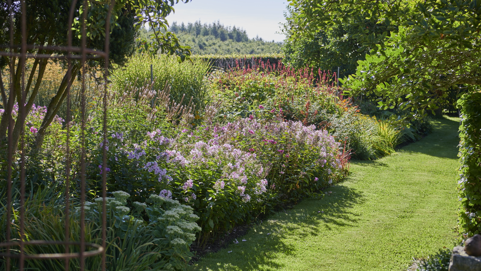 flowering shrubs for full sun