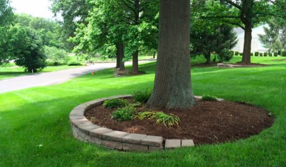 edging around trees ideas