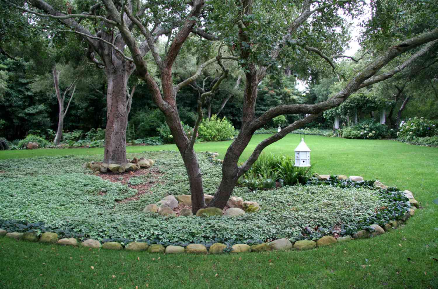 landscaping around trees