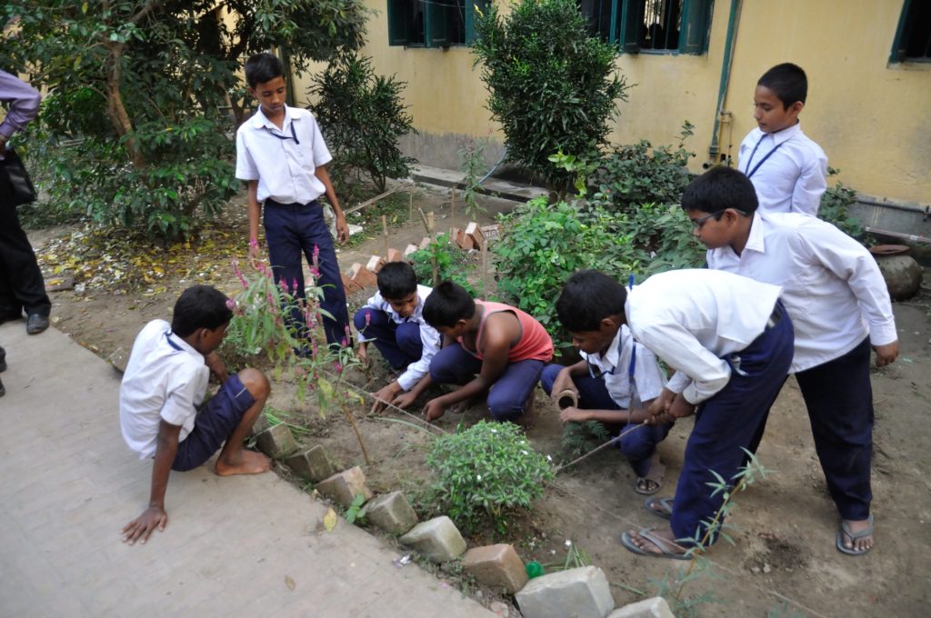 importance of tree plantation