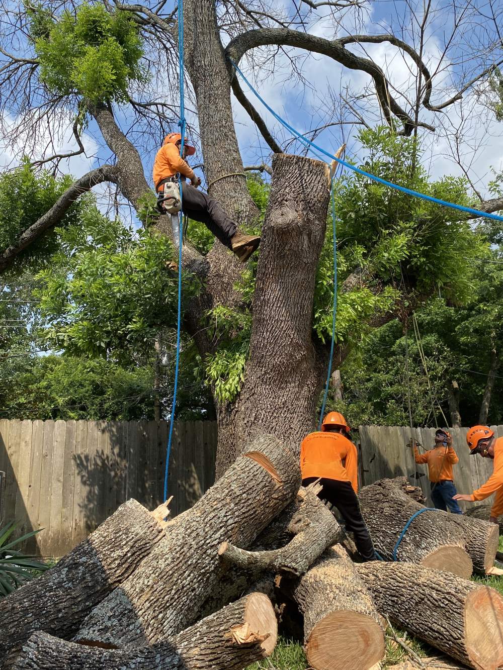 good guys tree service austin