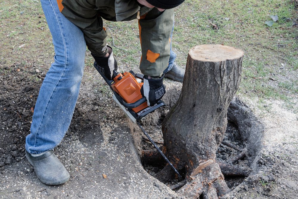 easy way to remove tree stumps