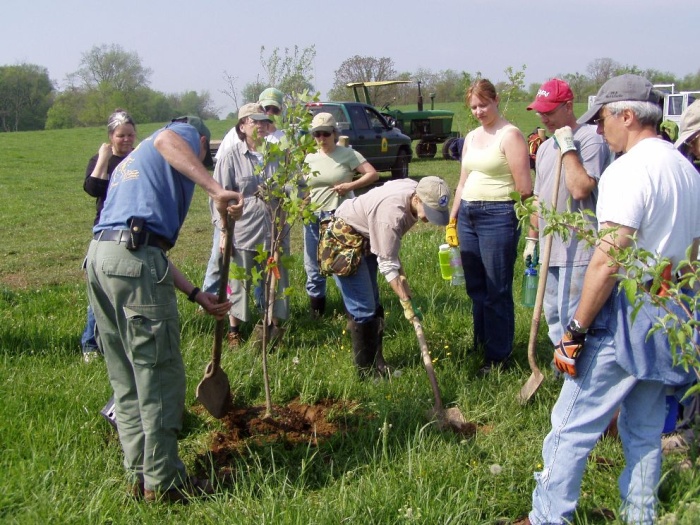 benefits of tree plantation