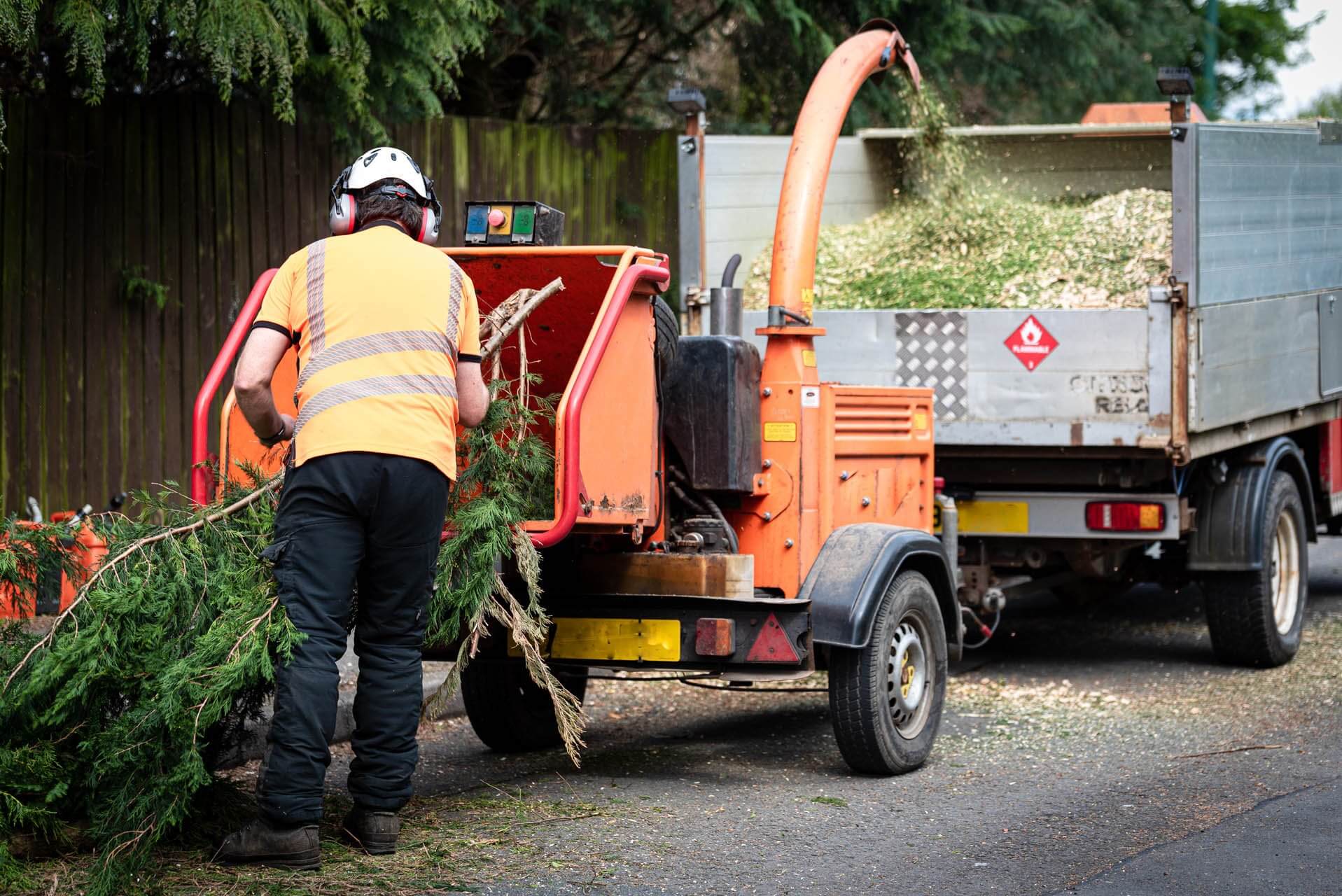 tree cutting financing